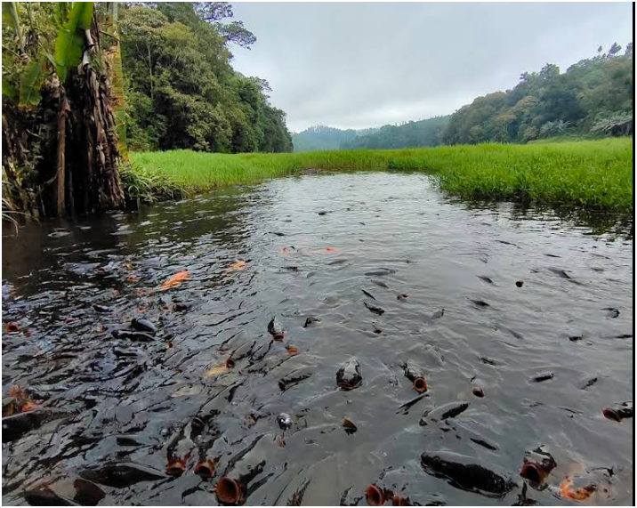 Telaga Ranjeng