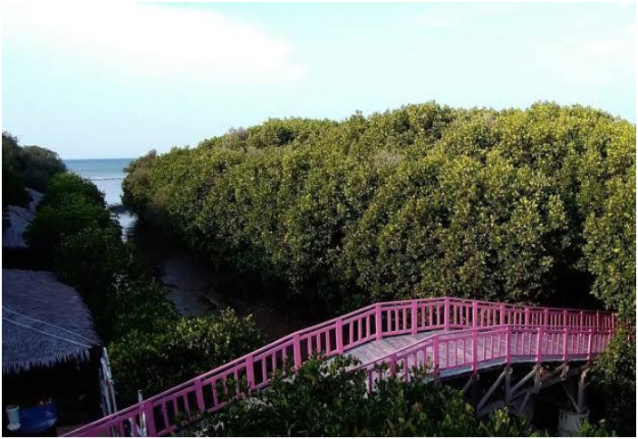 Hutan Mangrove