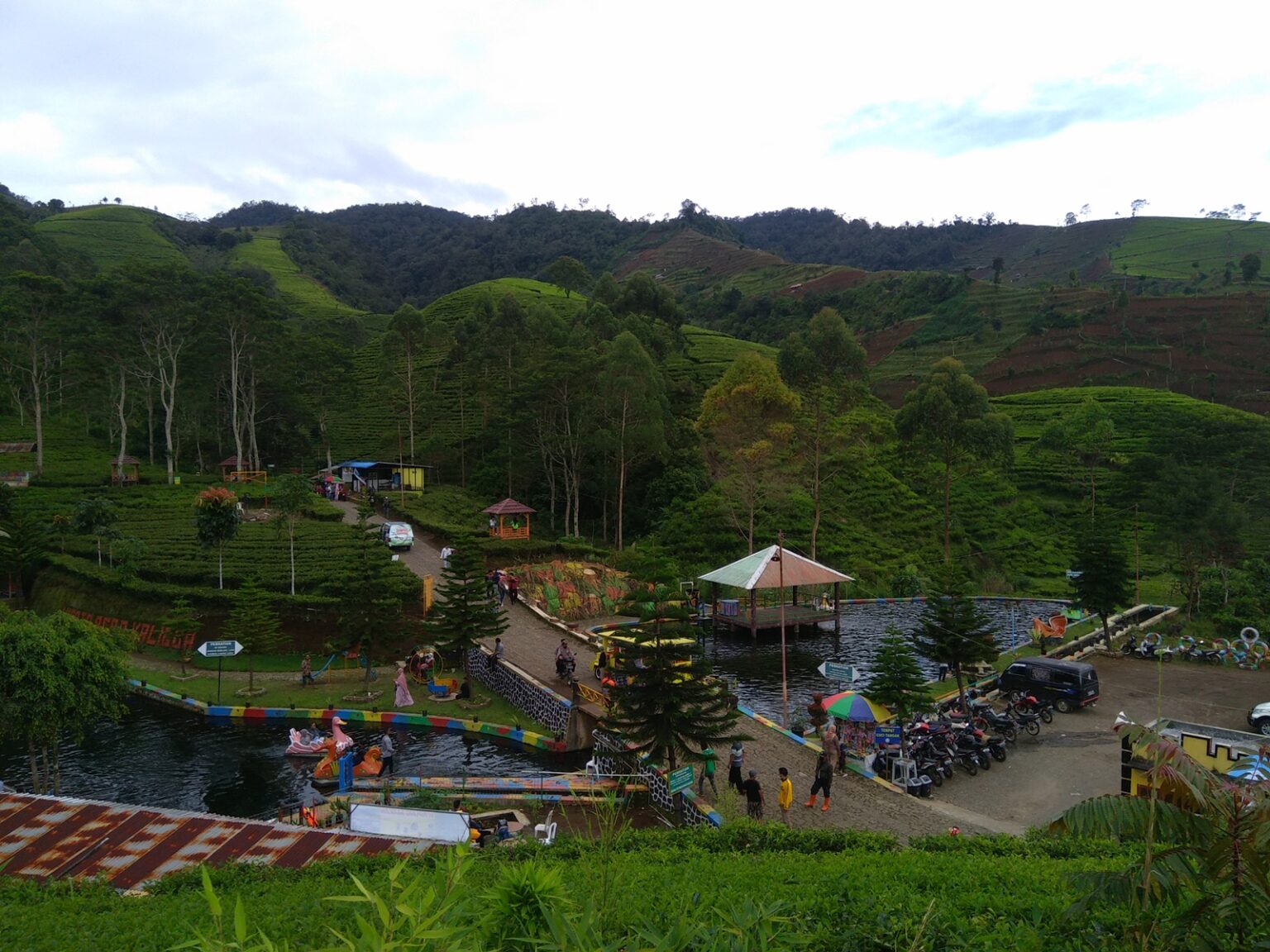 Agro Kebun Teh Kaligua