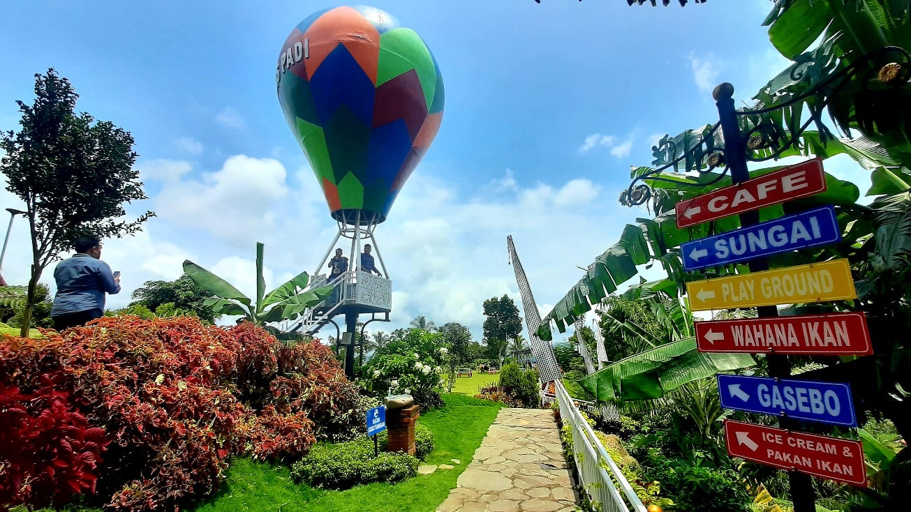 Teras Padi