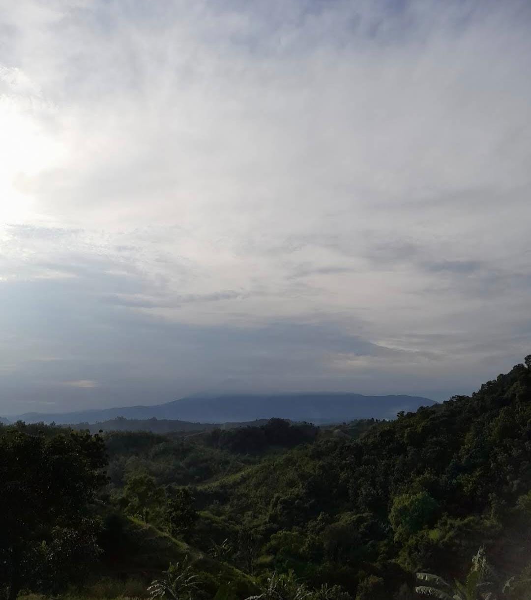 Gambar 2